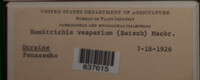 Image Associated With the Occurence